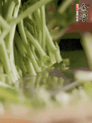 新鮮豌豆苗割下洗凈。